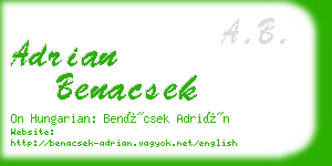 adrian benacsek business card